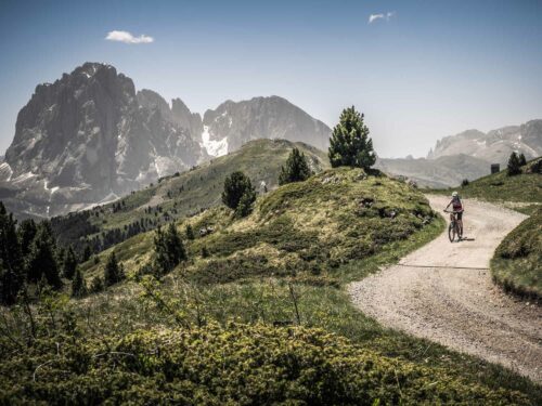 Biketour auf die Seceda im Grödnertal in den Dolomiten in Italien. Langkofel und Plattkofel als Kulisse.